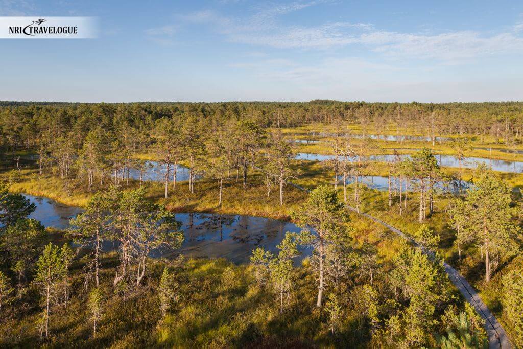 Lahemaa National Park