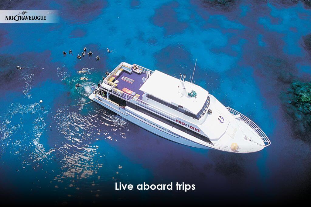 Live Aboard Trips