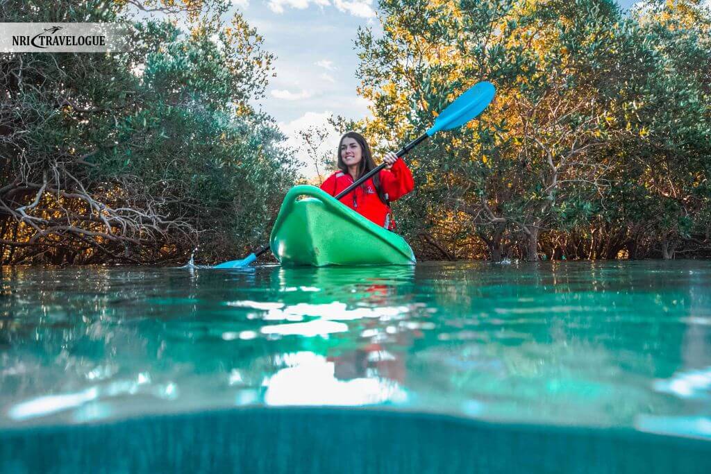 Mangrove National Park