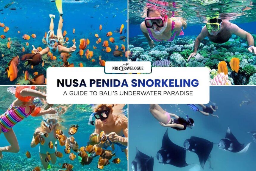 Nusa Penida Snorkeling: A Guide to Bali’s Underwater Paradise