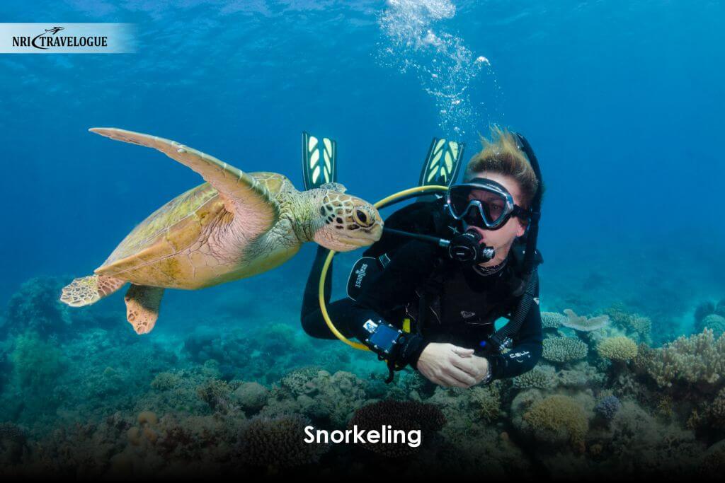 Snorkeling