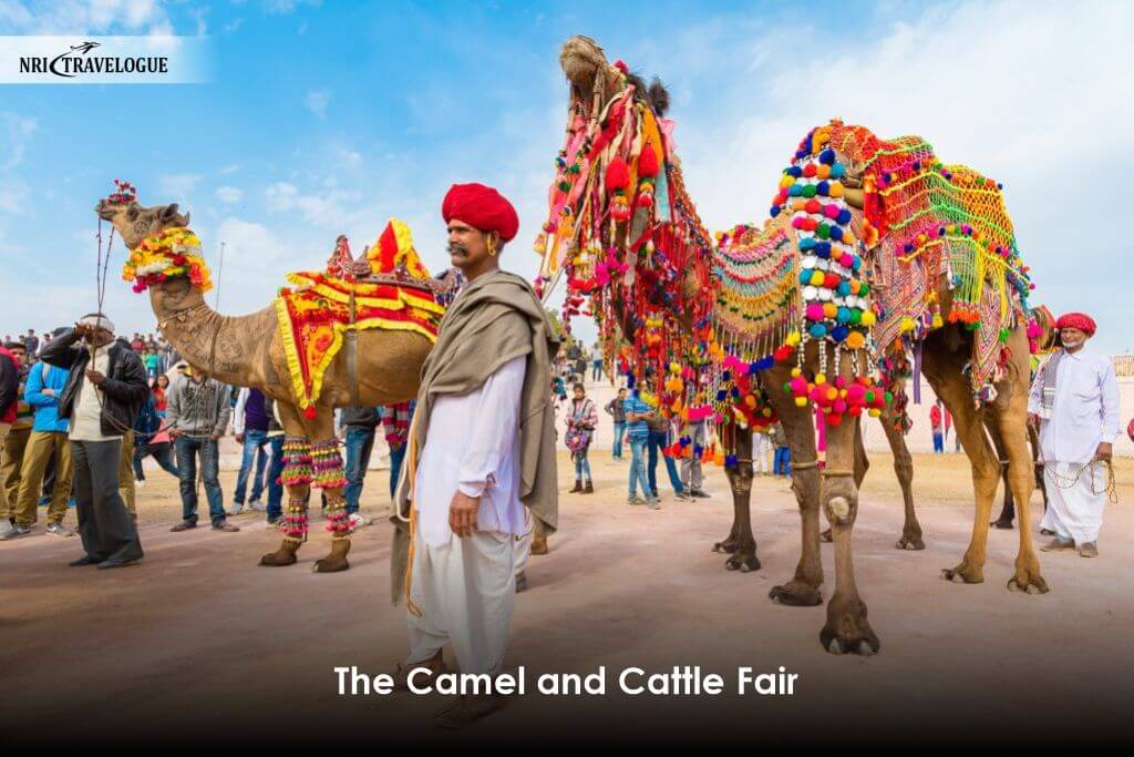 The Camel and Cattle Fair