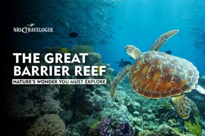 The Great Barrier Reef: Nature’s Wonder You Must Explore