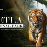 Betla National Park (2025): Safaris, Stays, and Spotting the Bengal Tiger