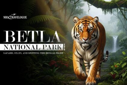 Betla National Park (2025): Safaris, Stays, and Spotting the Bengal Tiger