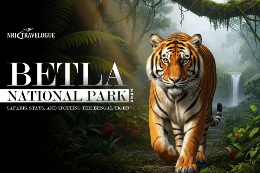 Betla National Park (2025): Safaris, Stays, and Spotting the Bengal Tiger