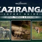 Kaziranga Safari Guide Zones, Timings, & Booking
