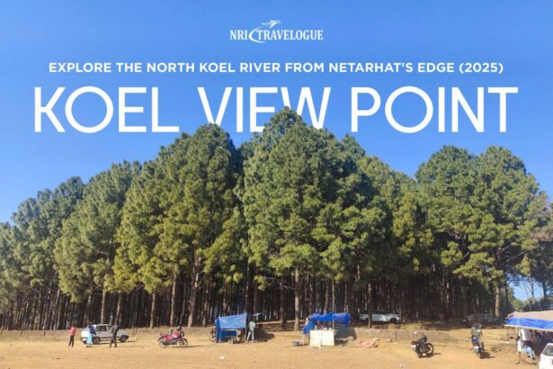 Koel View Point Explore the North Koel River from Netarhat's Edge (2025)