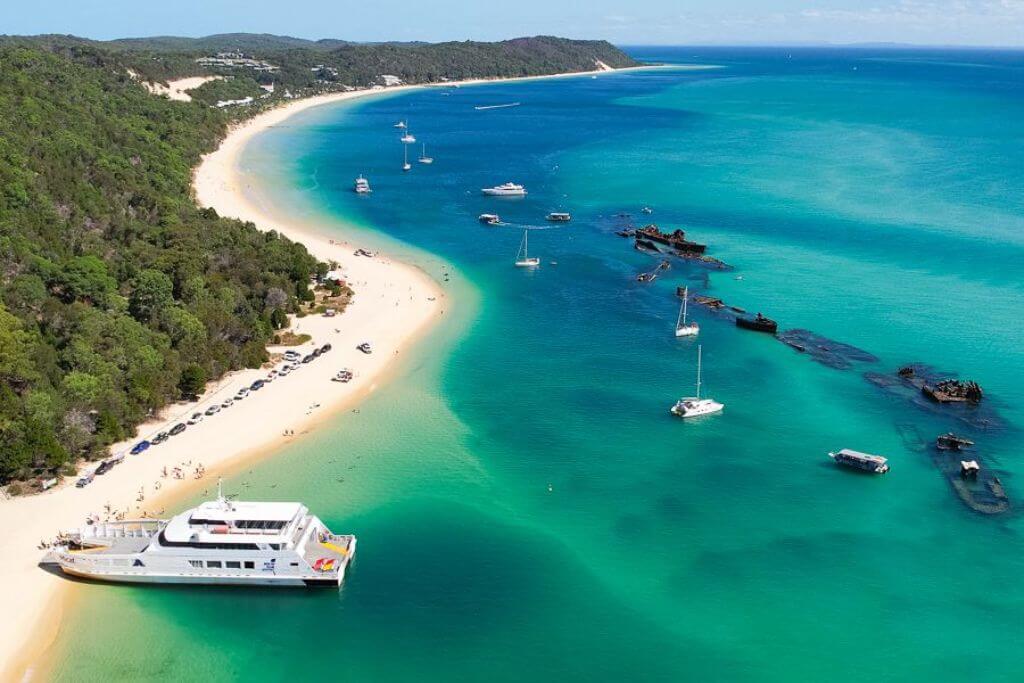 Moreton Island shipwreck snorkelling