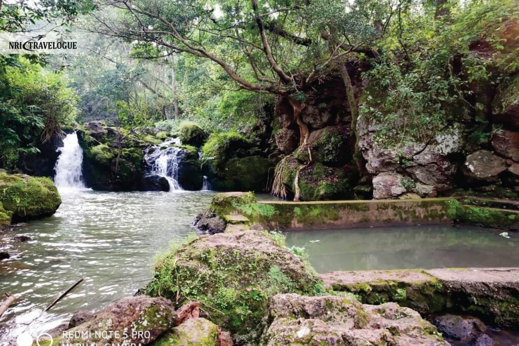 Natural Beauty and Surroundings
