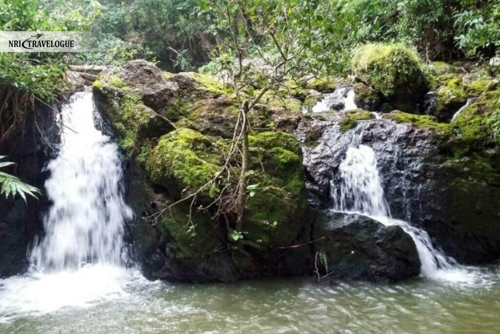 Netarhat — The Queen of Chotanagpur