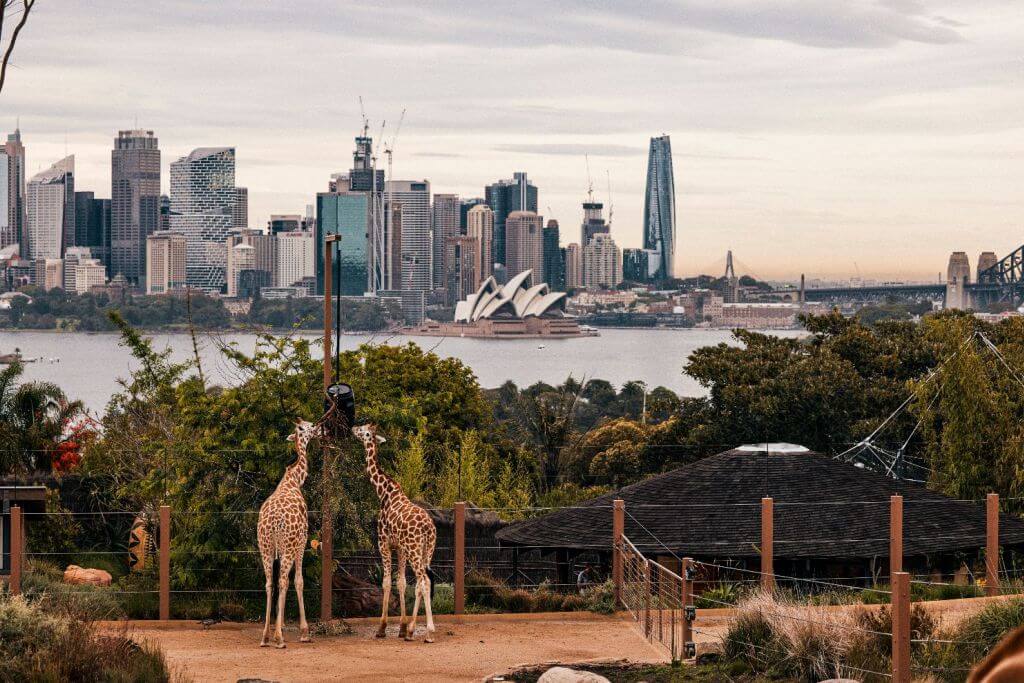 Taronga Zoo