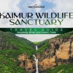 Kaimur Wildlife Sanctuary Travel Guide Leopards, Birds, and Scenic Trails (2025)