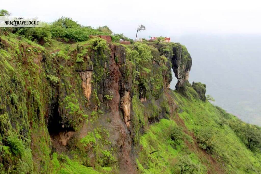Kate’s Point & Elephant’s Head Point