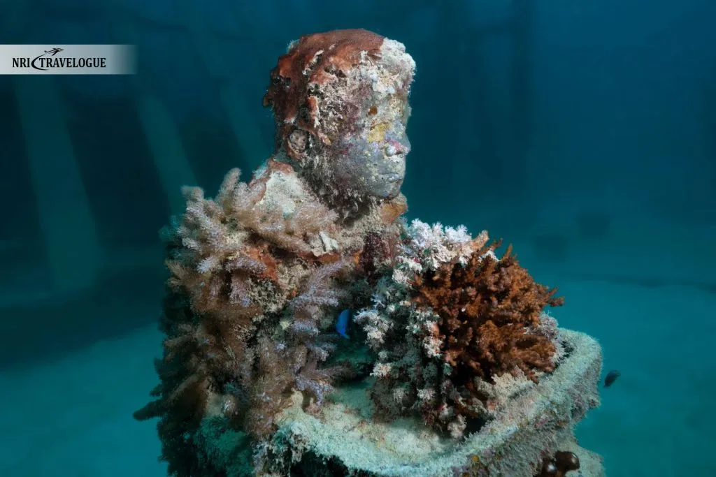 Indigenous Australians