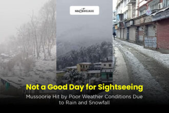 Not a Good Day for Sightseeing Mussoorie Hit by Poor Weather Conditions Due to Rain and Snowfall
