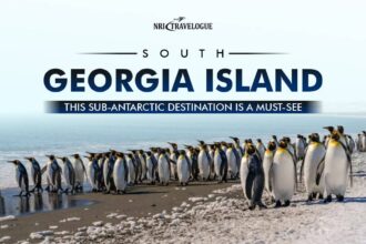 South Georgia Island This Sub-Antarctic Destination