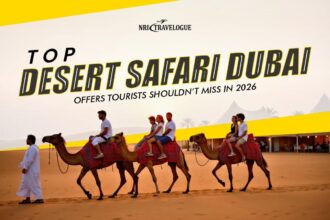 Top Desert Safari Dubai Offers 2026