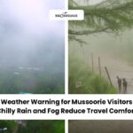 Weather Warning for Mussoorie Visitors Chilly Rain and Fog Reduce Travel Comfort