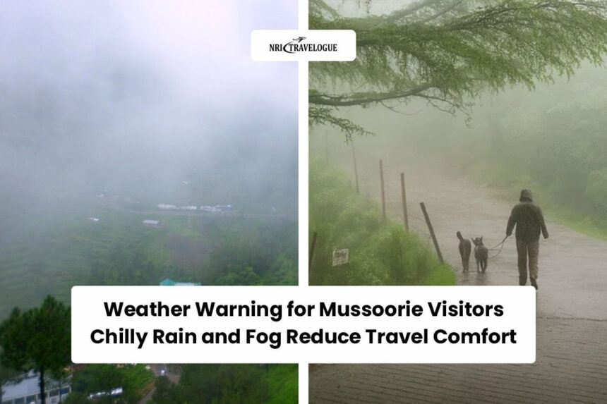 Weather Warning for Mussoorie Visitors Chilly Rain and Fog Reduce Travel Comfort