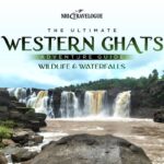 Wildlife and Waterfalls: The Ultimate Western Ghats Adventure Guide