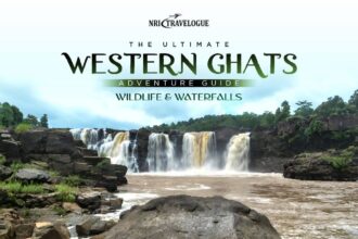 Wildlife and Waterfalls: The Ultimate Western Ghats Adventure Guide