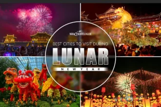 Best Cities to Visit During Lunar New Year