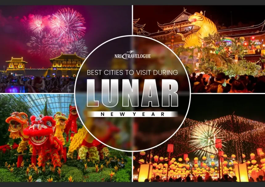 Best Cities to Visit During Lunar New Year