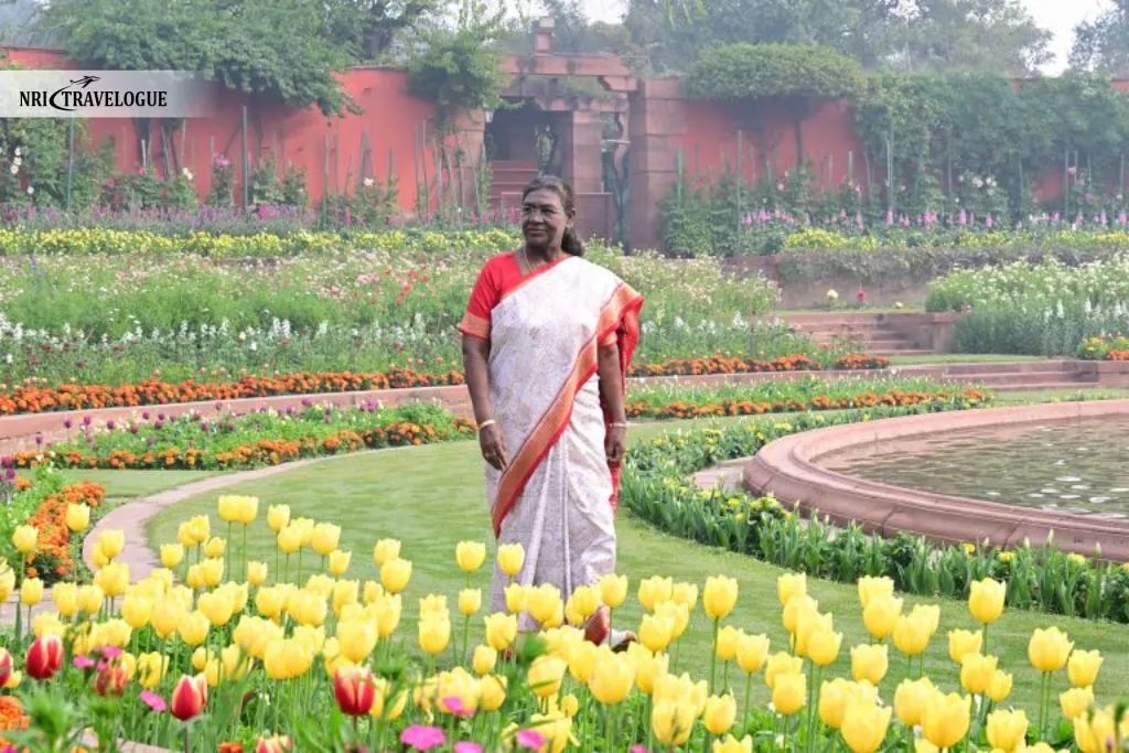 Booking and Entry Information