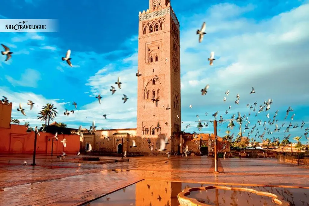 From Marrakech