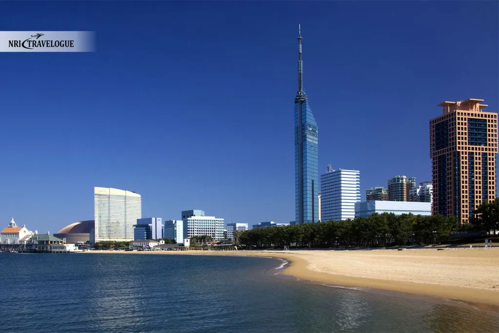 Fukuoka Tower and Seaside