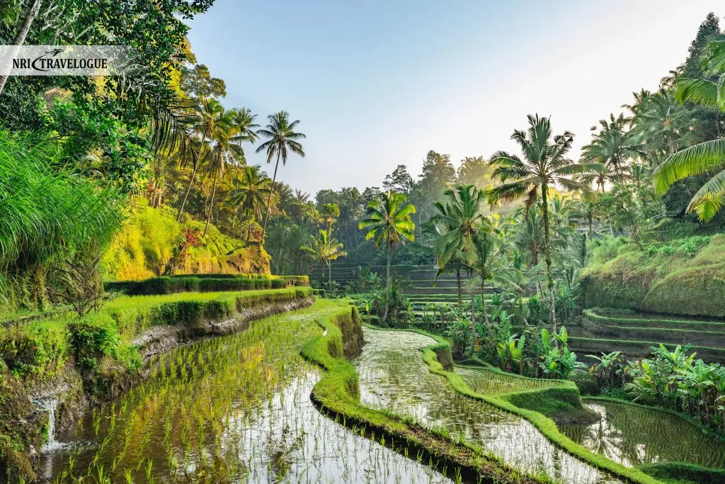 Bali