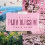 Japan Plum Blossom Travel Guide