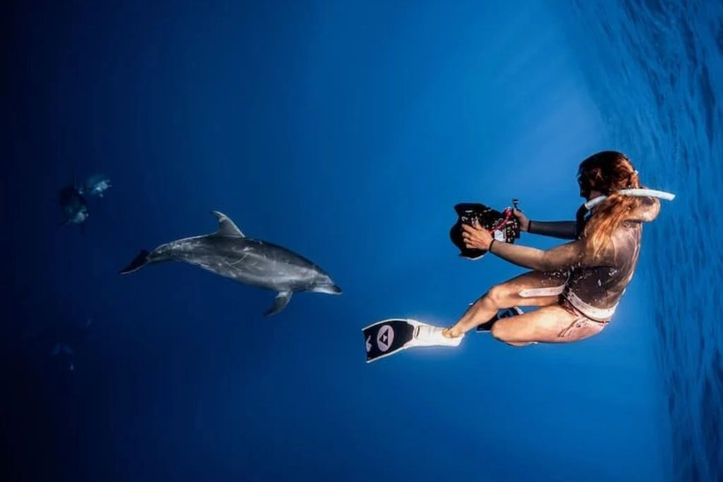 Why Sightings are Easy to Count — and Encounters are Not