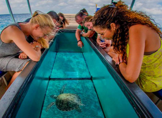 Glass Bottom Boat Ride bali