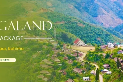 Nagaland