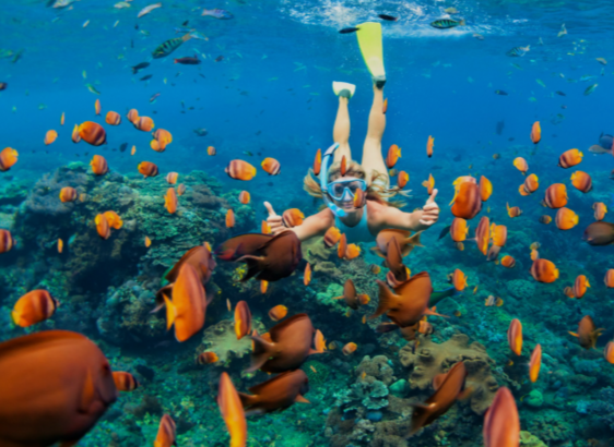 Snorkelling