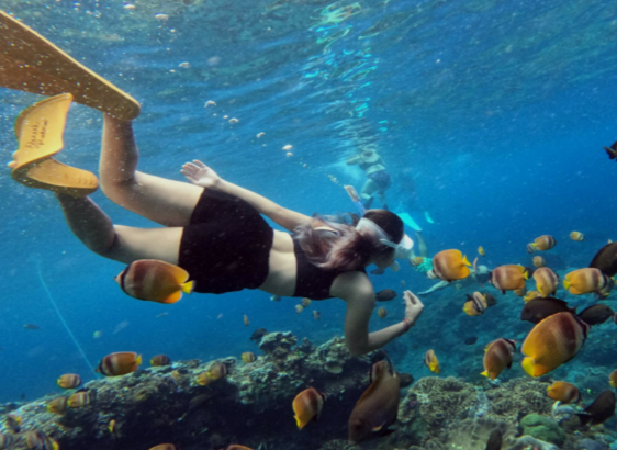 Snorkelling