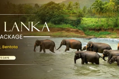 Sri Lanka