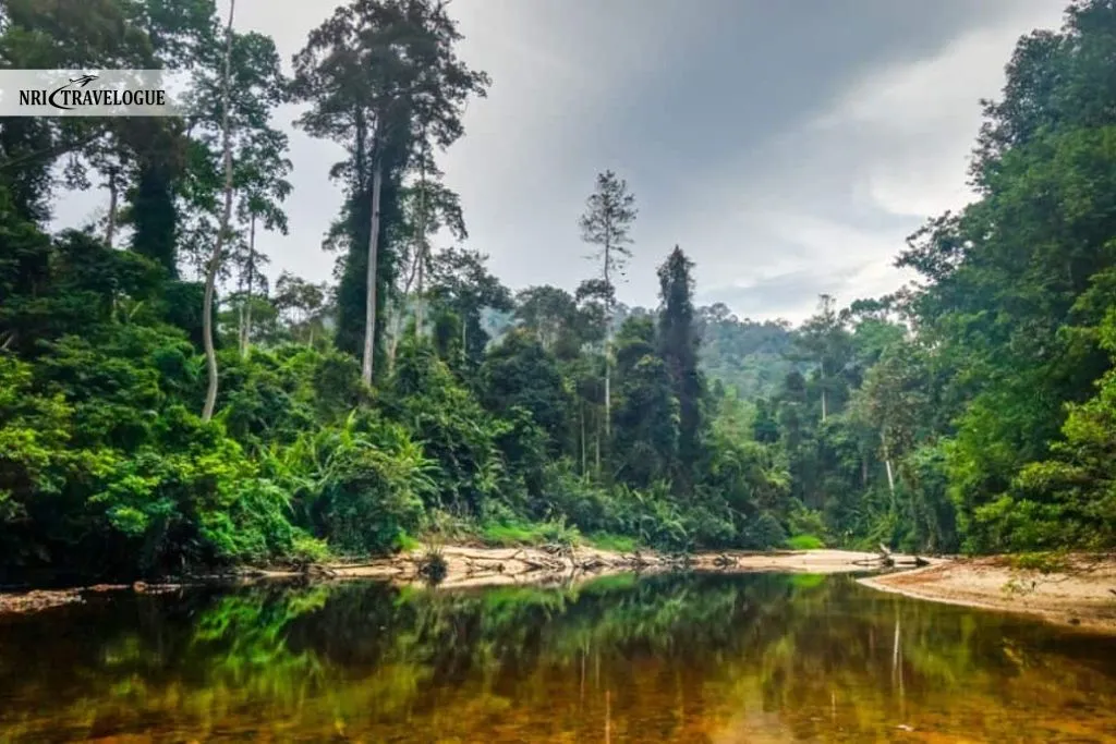 Taman Negara
