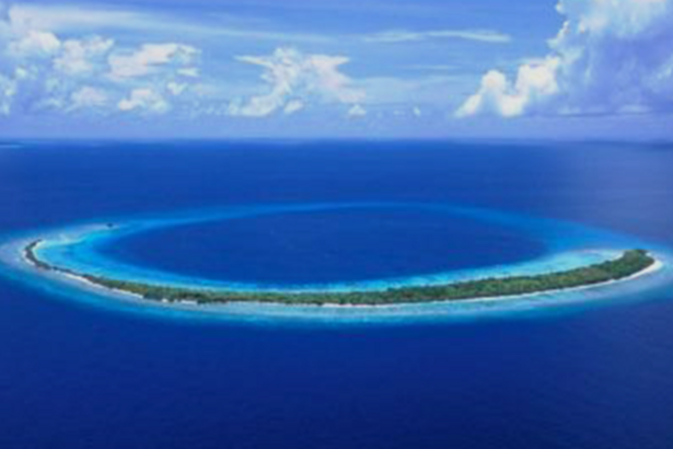 Banana Reef
