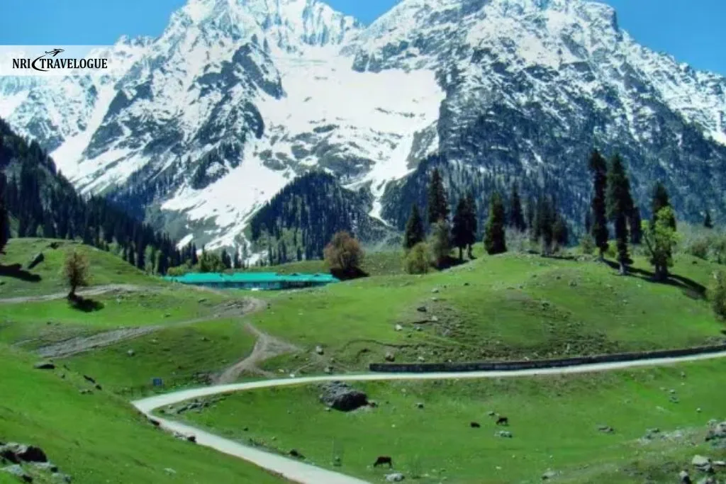 Baltal Valley