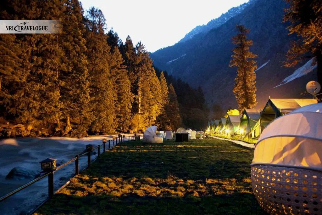 Camping Under the Stars