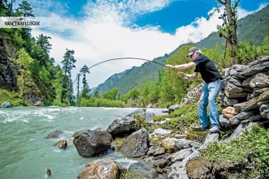 Trout Fishing
