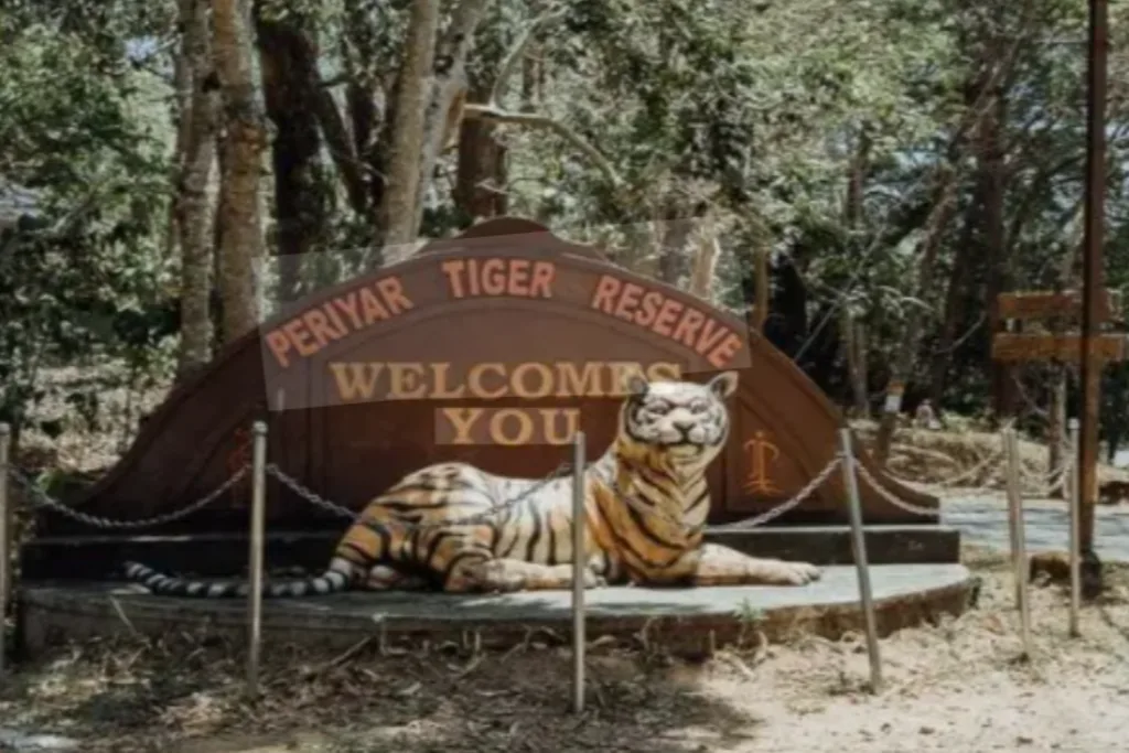 periyar Thekkady 