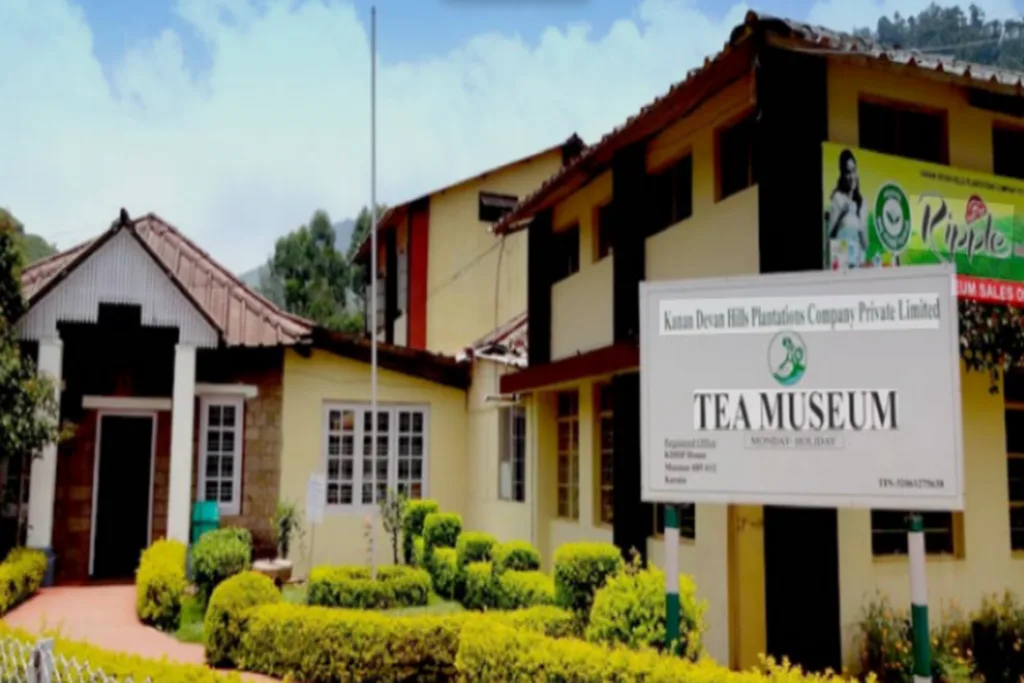 tea museum