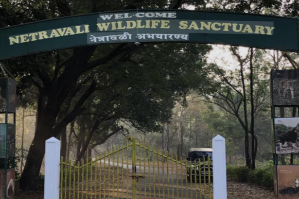Netravali Wildlife